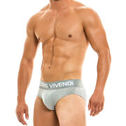 - "Classic Briefs - Grey" 