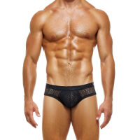 - "Net Trap Classic Briefs - Black" 