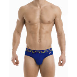 - "Meander Brief - Blue" 