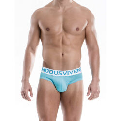 - "Weekly Briefs - Aqua" 
