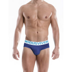 - "Weekly Briefs - Blue" 