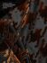 - "Pied De Poule T-String - Bronze" 