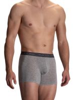 - "RED 2106 Boxerpants - Grey" (SALE!) 