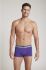 - "17302913 Short Trunk 3 Pack - Woodland Gray" ( 3 .) 