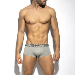 - "7 Days 7 Colors Trunk 3.0 - Heather Grey" 