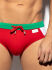 - "Flags Swim Briefs - Red" 