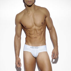 - "Basic Modal Push-Up Briefs - White" 