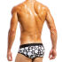 - "Polkadot Briefs - Black" 