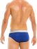 - "Festive Spring Briefs - Blue" 