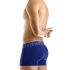 - "Eternal Boxer - Blue" 