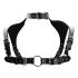 - "Ouch! - Men Harness with Neck Collar" 