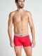 - "17301733 Boxer Trunk 3 Pack - Stone Gray Melange" ( 3 .) (. !) 