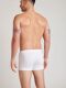 - "22452918 Trunk - White" (. !) 