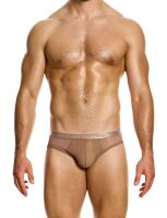 - "Mesh Through Classic Briefs - Skin" 