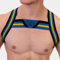  -  "Martin Harness - Black/Royal/Yellow" 