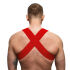 - "ABC Harness - Red" (. !) 