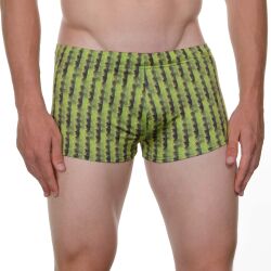 - "Cactus Stripes" (SALE!) 