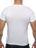  "Basic V-Neck T-Shirt - White" 