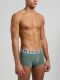 - "Tri-Pack Mix Men's Trunk Forest" ( 3 .) (. !) 