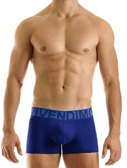 - "Eternal Boxer - Blue" 