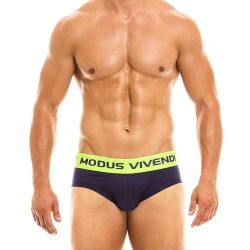 - "Phosphor Briefs - Purple" 