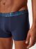 - "Casualine Trunks - Fancy Night" 