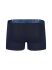 - "Casualine Trunks - Fancy Night" 