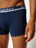 - "Cotton Trunks 3 Pack Grey / Blue / Black" ( 3 .) 