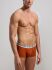 - "Elastic Grey Tri-Pack Mix Men's Trunk Mix Color" ( 3 .) (. !) 