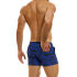 - "Tiger Short - Blue" 