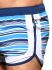 - "Savoy Stripe Swim Shorts" 