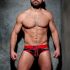 - "Camo Stripe Fetish Briefs - Red" 
