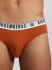 - "Elastic Grey Tri-Pack Mix Men's Briefs Mix Color" ( 3 .) (. !) 