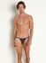 - "RED 2308 Riotanga - Scale Brown" (. !) 