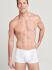 - "18502922 Trunk 2 Pack - White" ( 2 .) (. !) 