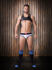 - "Backless Briefs Bond Street - White/Navy/Black" (SALE!) 