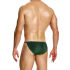 - "Glitter Tanga Briefs - Green" 