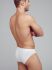 - "22452419 Briefs - White" (. !) 