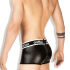 - "Regular Rear Trunk Shorts - Black" 
