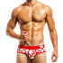 - "Polkadot Briefs - Red" 