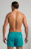 - "Retro Men's Swim Trunks - Everglade" (. !) 