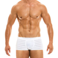 - "Golden Boxer - White" 