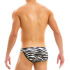 - "Animal Tanga Briefs - Zebra" 