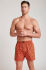 - "315500 Boxer Woven 2 Pack - Hot Sauce" ( 2 .) (. !) 