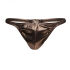 - "King Cheetah Thong - Rose Gold" 