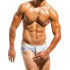 - "Desert Briefs - Grey" 
