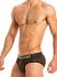 - "Festive Lux Briefs - Gold" 