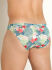 - "RED 2365 Brazilbrief - Hibiscus" (. !) 