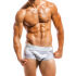 - "Desert Brazil Cut Boxer - Grey" 