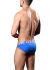 - "Almost Naked Retro Briefs - Electric" 